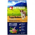 Ontario Puppy Medium Lamb & Rice 6,5kg